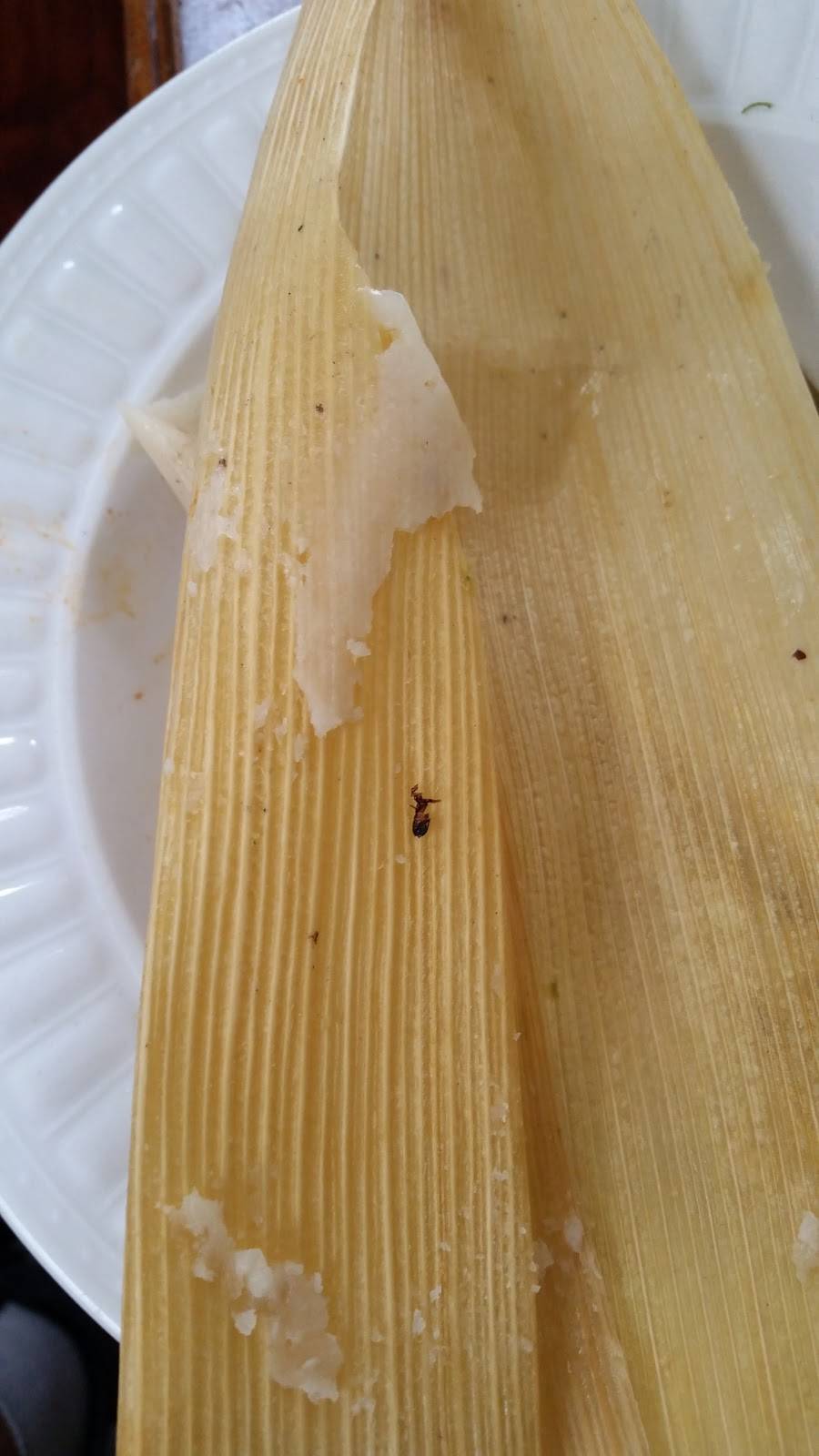 Manolos Tamales | restaurant | 4706 W 63rd St, Chicago, IL 60629, USA | 7738848000 OR +1 773-884-8000
