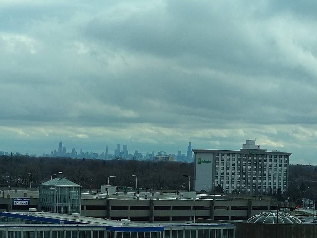 Brickton | restaurant | 8535 W Higgins Rd, Chicago, IL 60631, USA | 7736934444 OR +1 773-693-4444