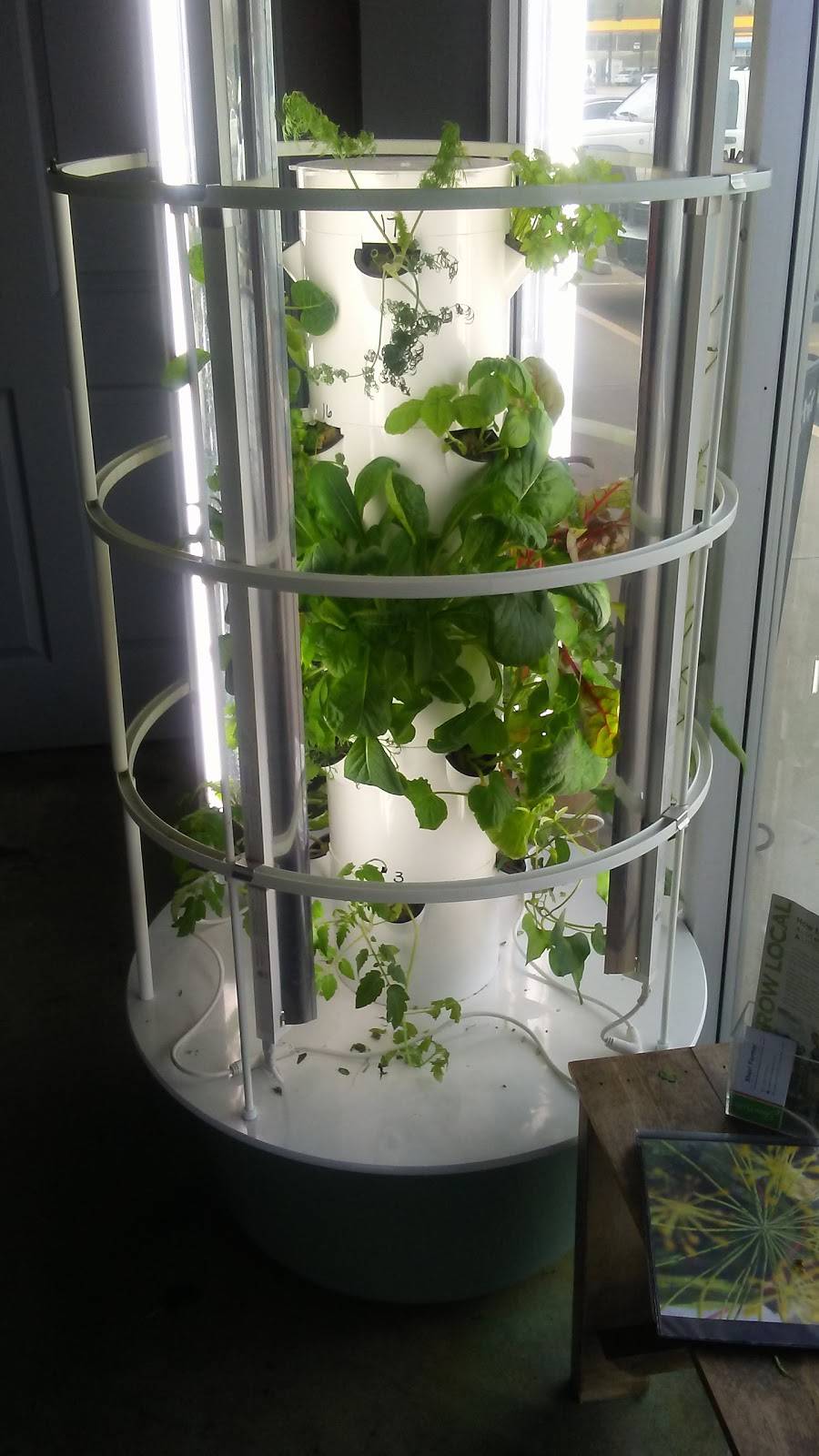 The Juice Cafe | restaurant | 916 N Westwood Blvd, Poplar Bluff, MO 63901, USA | 5736092248 OR +1 573-609-2248