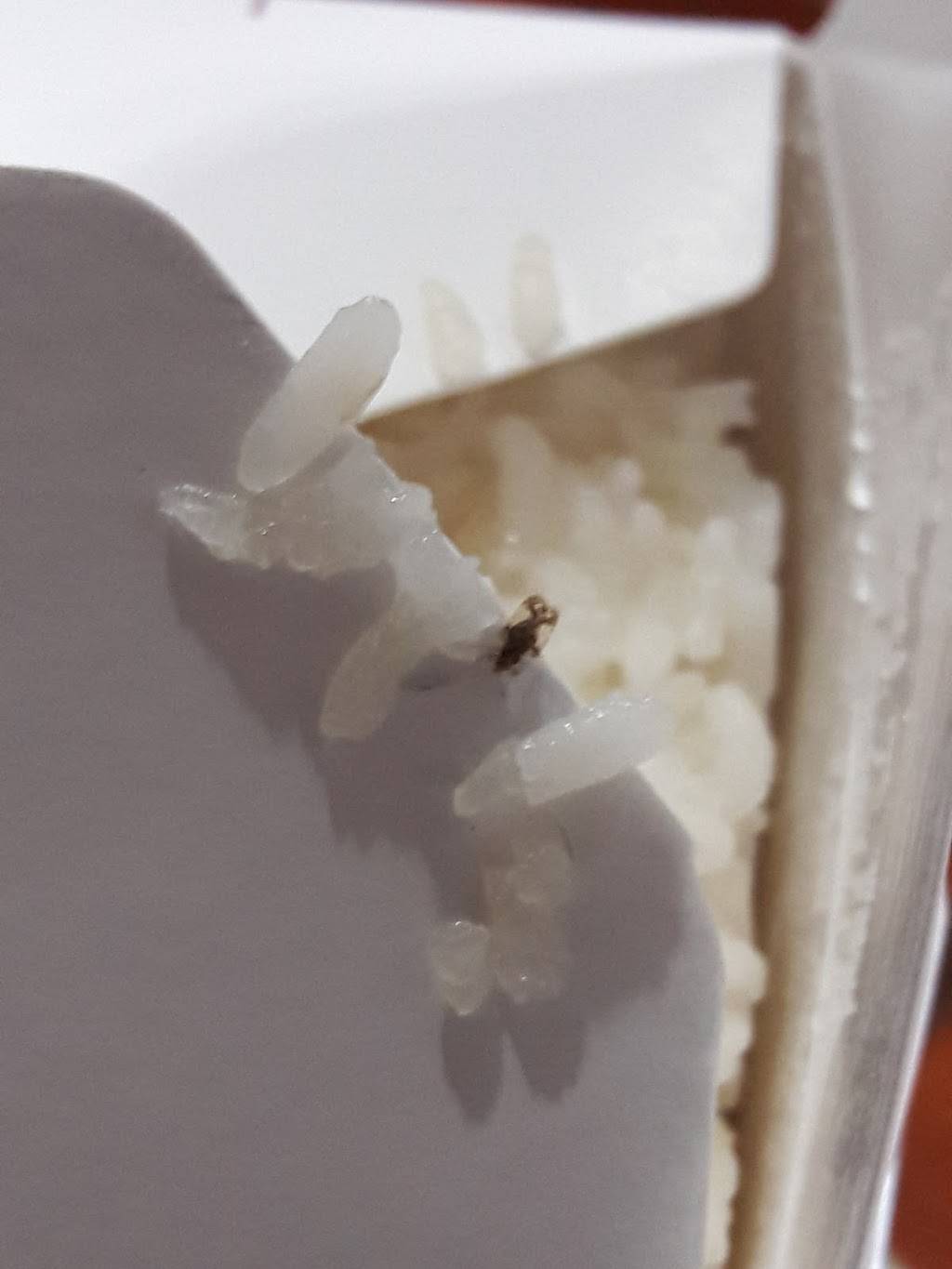 Kitchen No 1 | restaurant | 5739 Crain Hwy, Upper Marlboro, MD 20772, USA | 3016276276 OR +1 301-627-6276