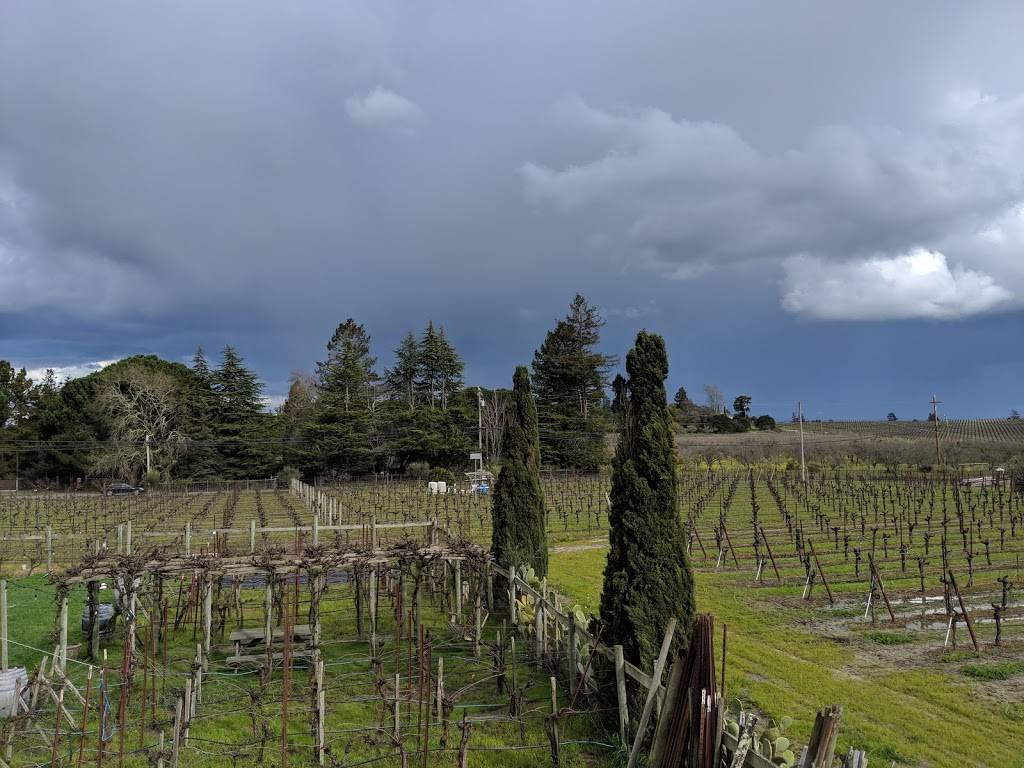 Cathys Corner | restaurant | 8063 Blackney Rd, Sebastopol, CA 95472, USA | 7072910645 OR +1 707-291-0645