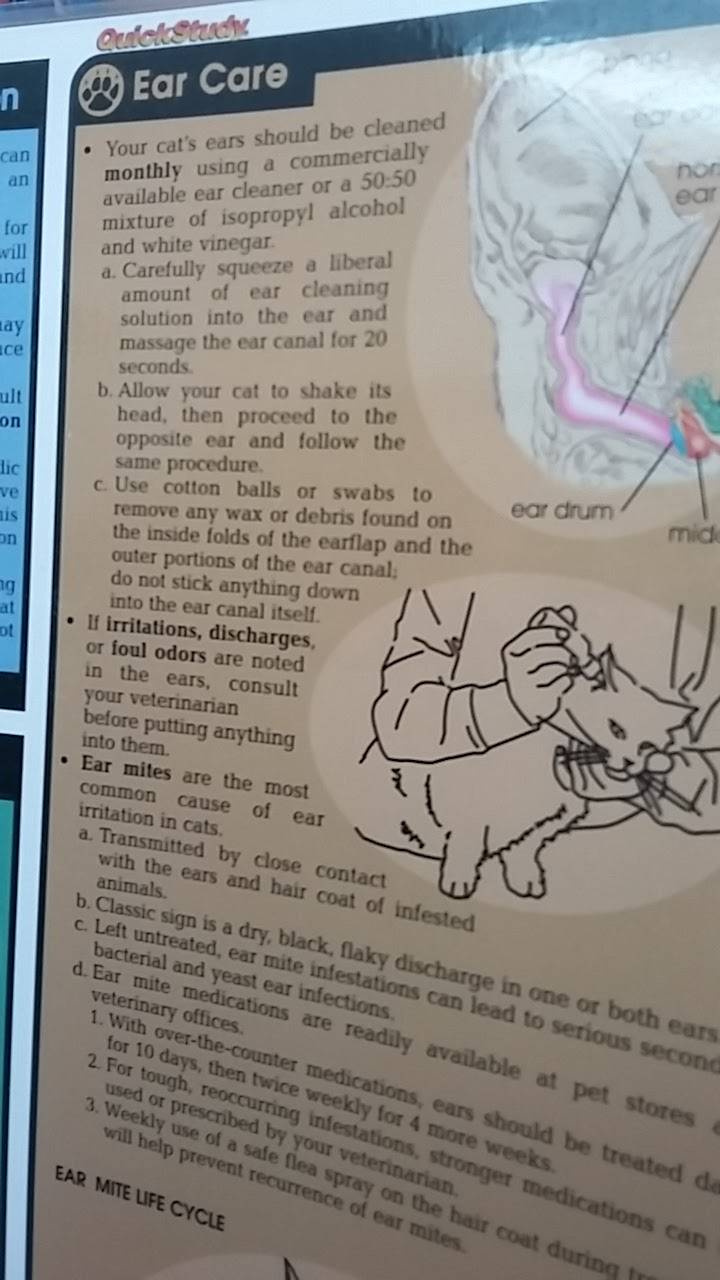 Subway Restaurants | restaurant | 642 Palomar Street, Suite 407, Palomar Trolley Center, Chula Vista, CA 91911, USA | 6194766627 OR +1 619-476-6627