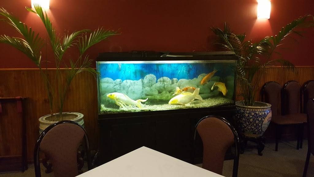 Peking | restaurant | 5034, 734 Rte 37 W, Toms River, NJ 08755, USA | 7323414242 OR +1 732-341-4242