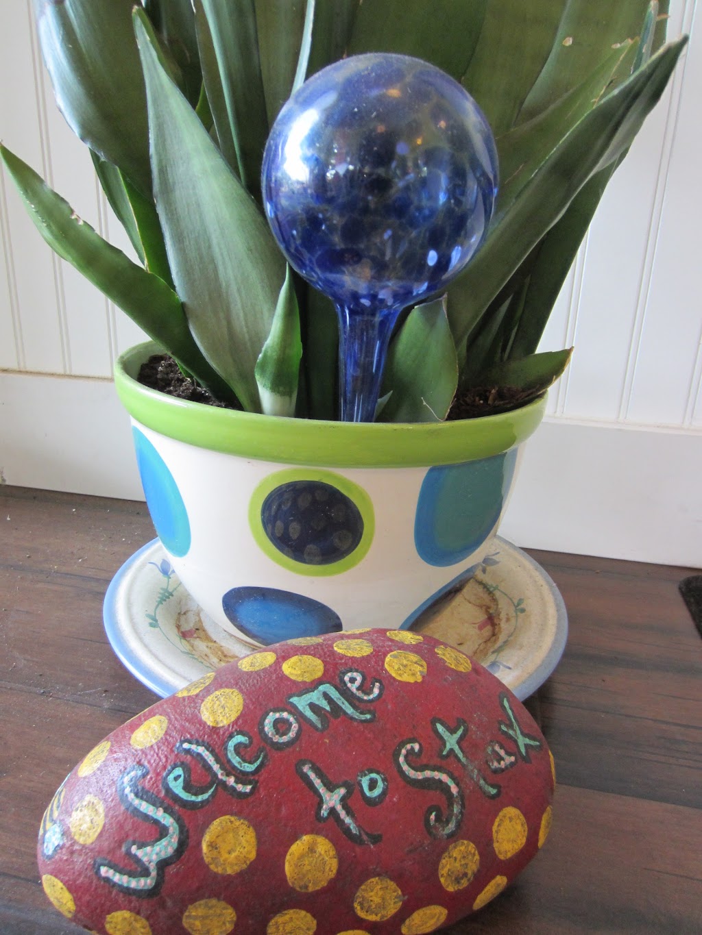 Stax Moscow | restaurant | 402 W 6th St #101, Moscow, ID 83843, USA | 2085964601 OR +1 208-596-4601