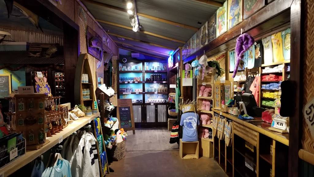 The Conch Republic Grill | restaurant | 16699 Gulf Blvd, North Redington Beach, FL 33708, USA | 7273200536 OR +1 727-320-0536