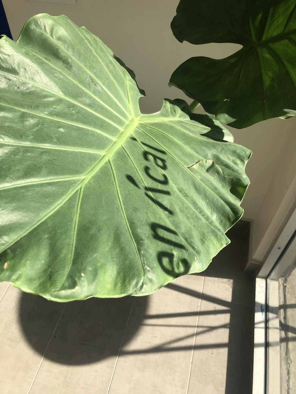 Amen Acai | restaurant | 211 E Orangefair Mall, Fullerton, CA 92832, USA | 7147433882 OR +1 714-743-3882