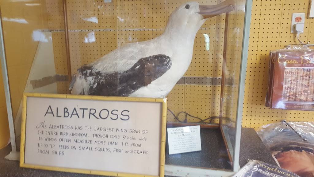 Perrys Nut House | meal takeaway | 45 Searsport Ave, Belfast, ME 04915, USA | 2073381630 OR +1 207-338-1630