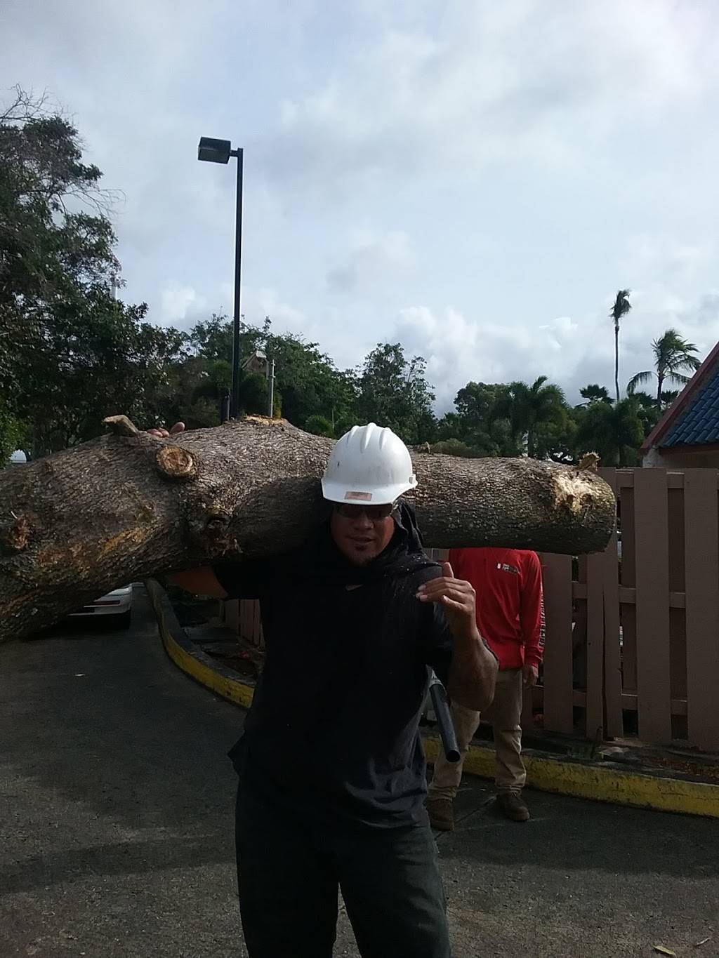 Jack in the Box | restaurant | 94-839 Ukeʻe Street, Waipahu, HI 96797, USA | 8086712448 OR +1 808-671-2448