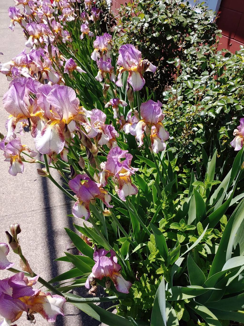 Los Pinos Mexican Restaurant | restaurant | 228 Washington Ave S, Orting, WA 98360, USA | 3608932333 OR +1 360-893-2333