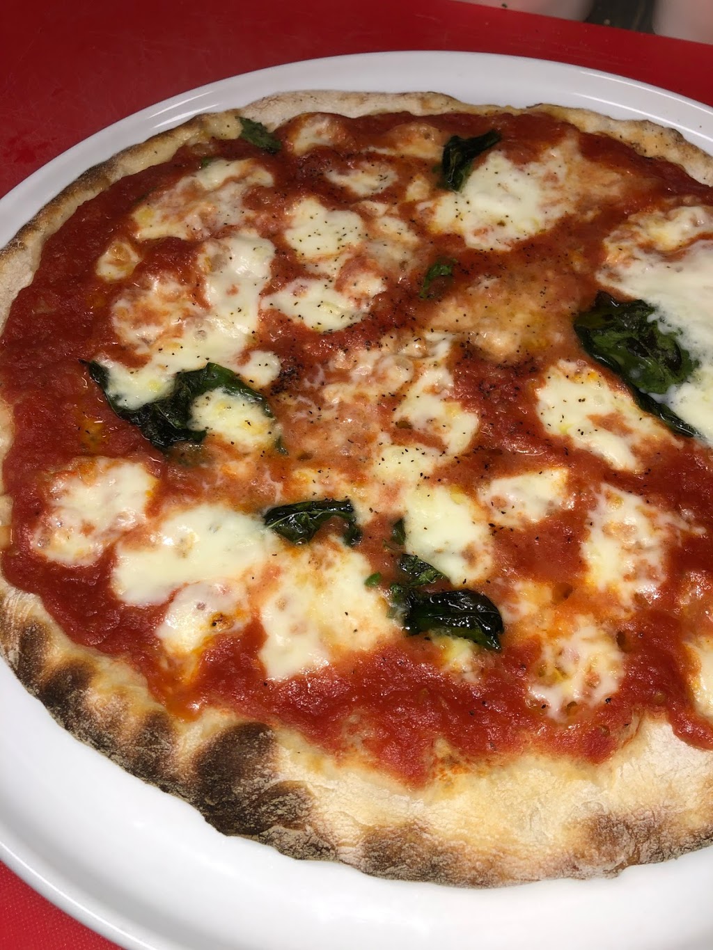 Il cilentano | restaurant | 579 Columbus Ave, San Francisco, CA 94133, USA | 4158947689 OR +1 415-894-7689