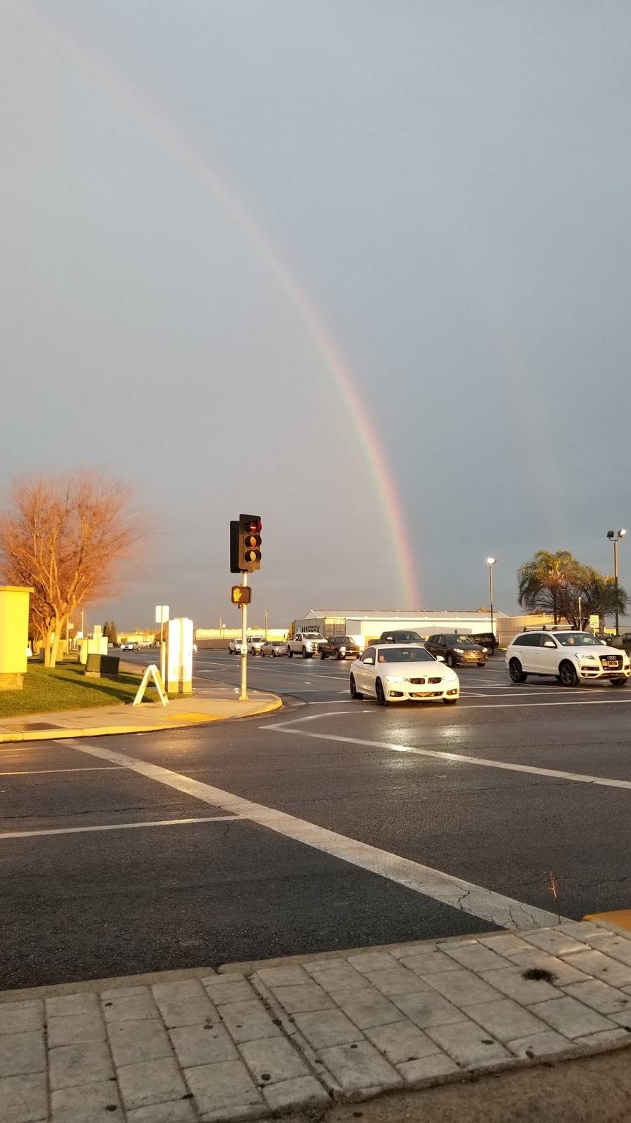 Wienerschnitzel | restaurant | 3748 Coffee Rd, Bakersfield, CA 93308, USA | 6615892855 OR +1 661-589-2855