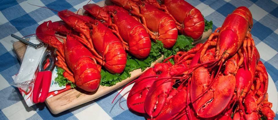Southern Maine Lobster Company | restaurant | 1021 US-1, York, ME 03909, USA | 2074207652 OR +1 207-420-7652