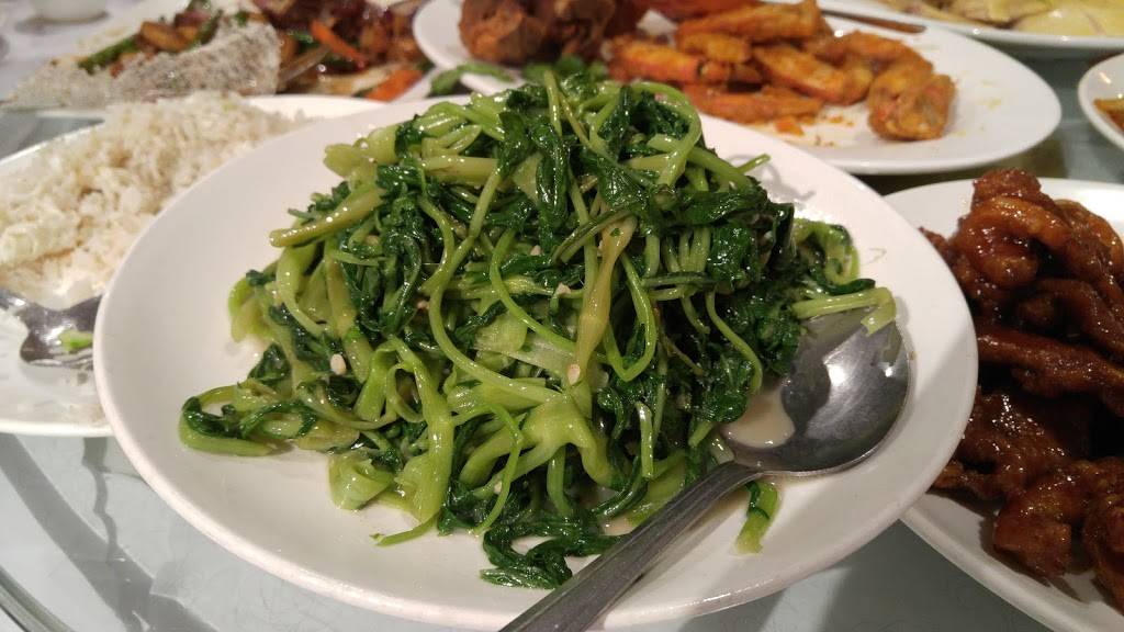 Shanghai Dumpling King | restaurant | 2347, 696, Monterey Blvd, San Francisco, CA 94127, USA | 4155851300 OR +1 415-585-1300