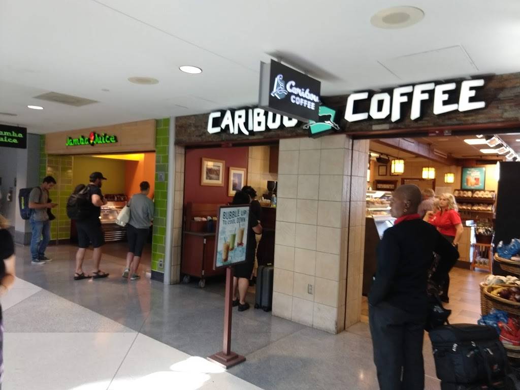 Caribou Coffee | cafe | Concourse C, 8500 Peña Blvd, Denver, CO 80249, USA | 3033426900 OR +1 303-342-6900