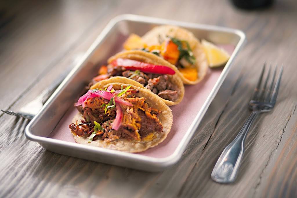 Rojo Gusano | restaurant | 4217 N Ravenswood Ave, Chicago, IL 60613, USA | 7733601628 OR +1 773-360-1628