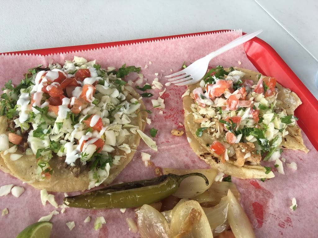 Tacos Gone Mobile | restaurant | 1309 E Fletcher Ave, Tampa, FL 33612, USA | 8134009439 OR +1 813-400-9439