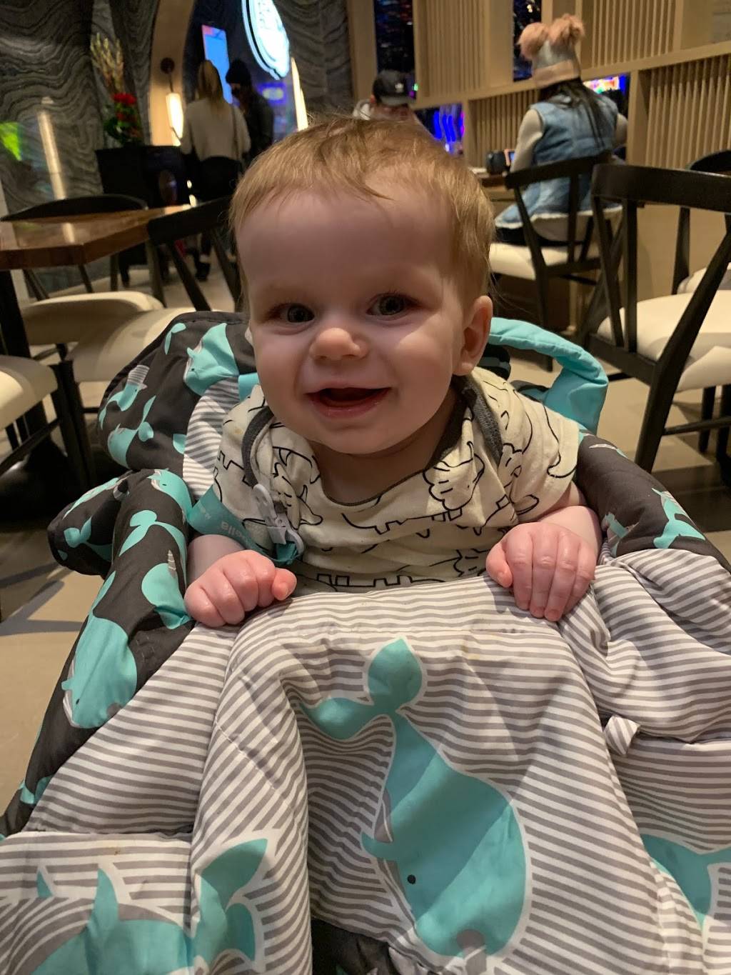 Red Bloom | restaurant | 3800 S Virginia St, Reno, NV 89502, USA | 7758244431 OR +1 775-824-4431