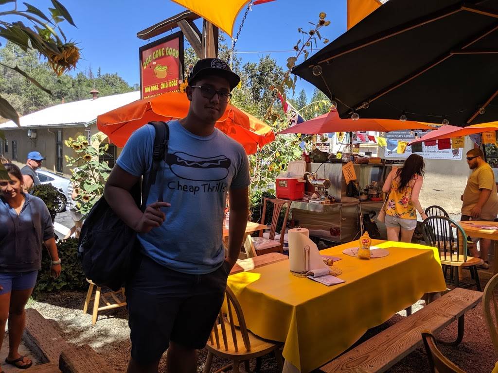 Dog Gone Good | restaurant | 18743 Main St, Groveland, CA 95321, USA | 2097705624 OR +1 209-770-5624