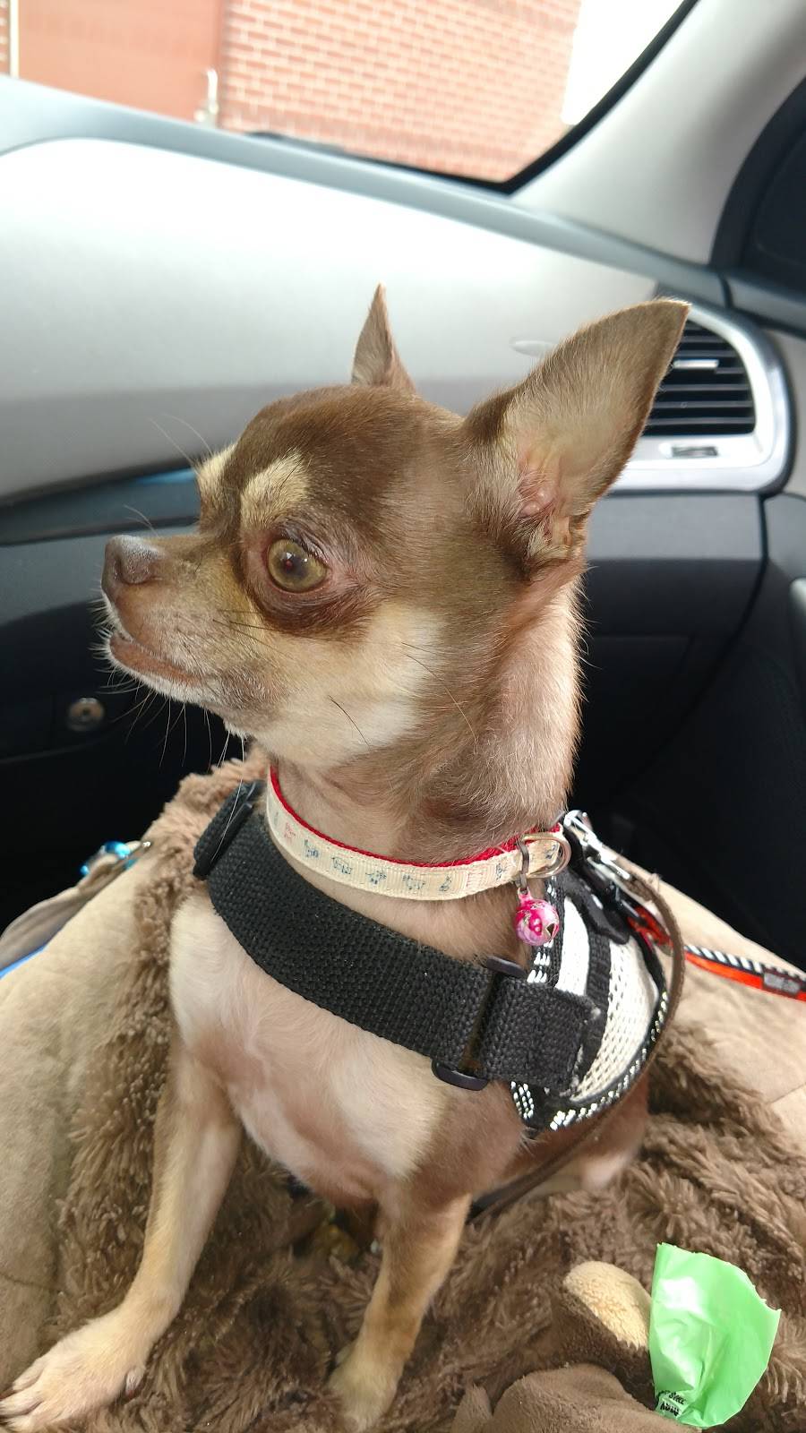 McDonalds | cafe | 2519 N College Rd, Wilmington, NC 28405, USA | 9107926900 OR +1 910-792-6900