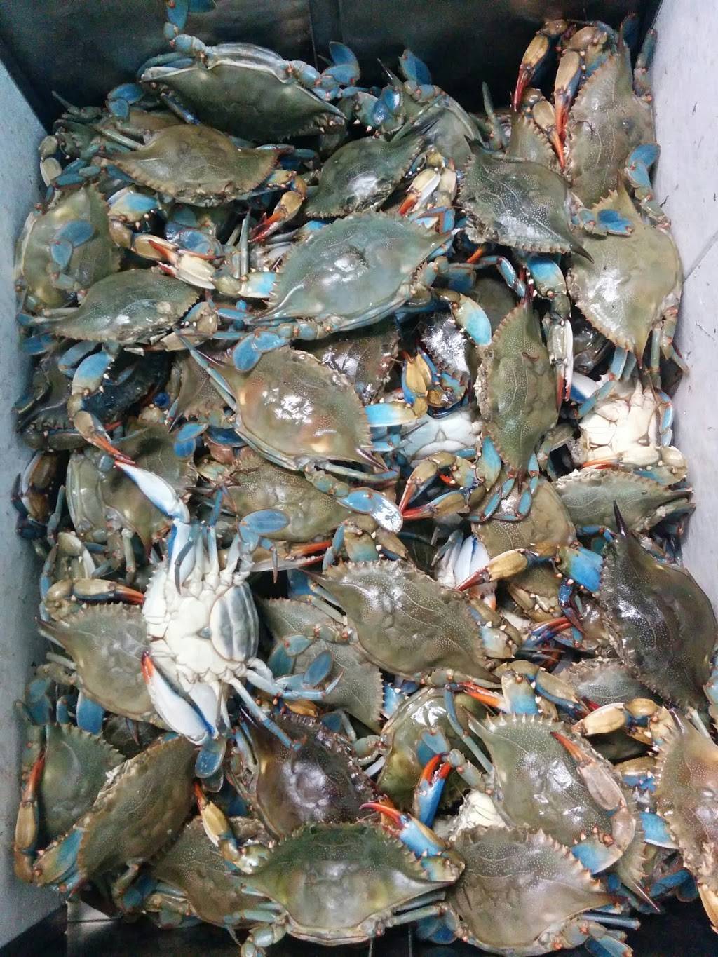 Ocean Seafood Market & Restaurant | restaurant | 2150 Fowler St #110, Fort Myers, FL 33901, USA | 2396724082 OR +1 239-672-4082