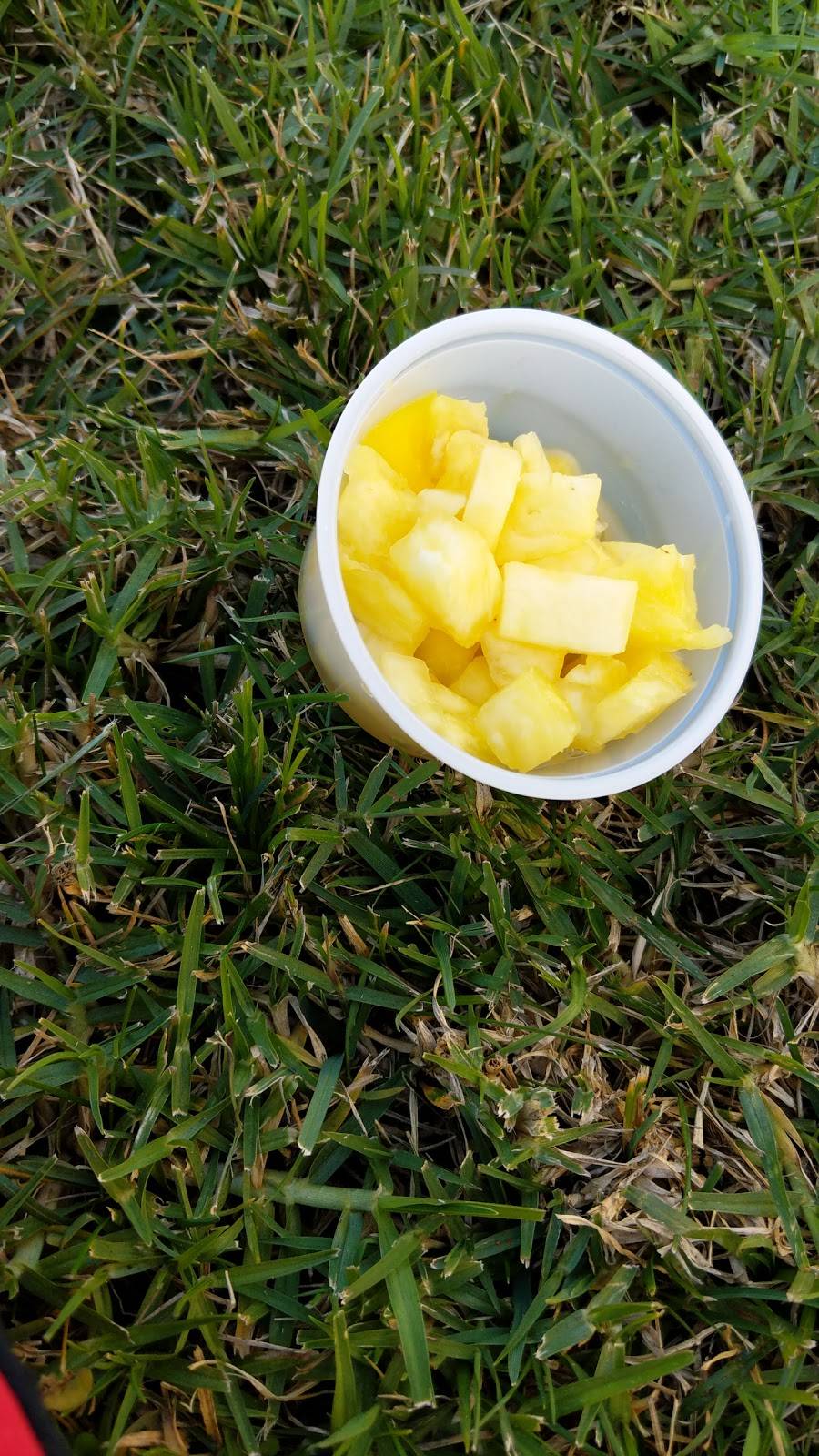 Beach Bowls Acai Cafe | meal takeaway | 2370 Crenshaw Blvd, Torrance, CA 90501, USA | 3103288515 OR +1 310-328-8515