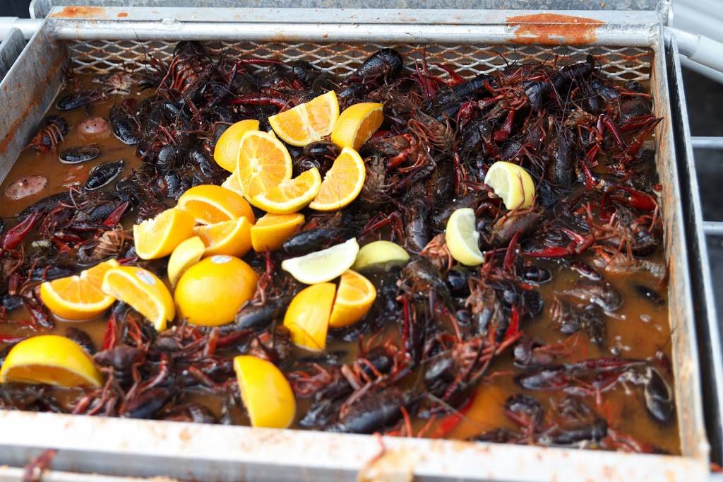 The Well | restaurant | 272 Meserole St, Brooklyn, NY 11206, USA | 3473383612 OR +1 347-338-3612