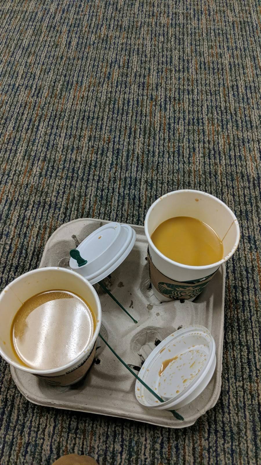 Starbucks | cafe | 13502 Struthers Rd, Colorado Springs, CO 80921, USA | 7193679440 OR +1 719-367-9440