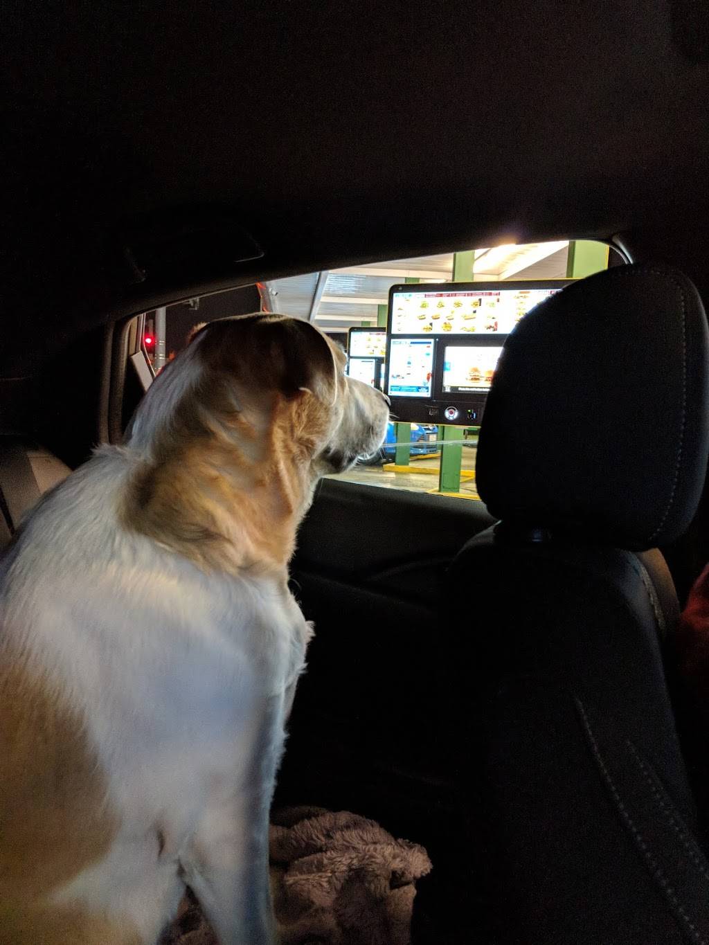 Sonic Drive-In | restaurant | 701 E Nifong Blvd, Columbia, MO 65201, USA | 5734492568 OR +1 573-449-2568