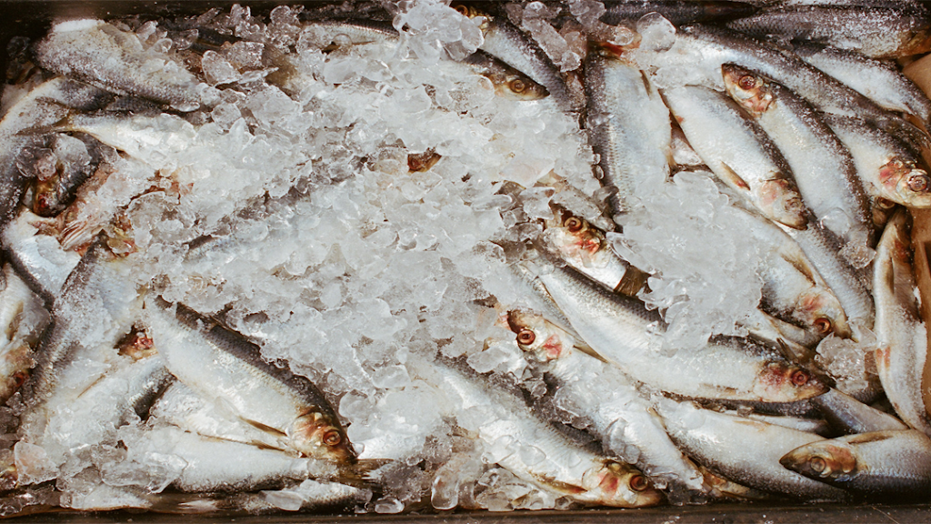 Tonno Restaurant | restaurant | 2 Main St, Gloucester, MA 01930, USA | 9788794795 OR +1 978-879-4795