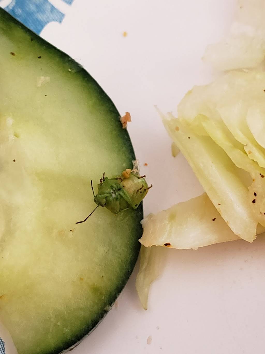 Subway Restaurants | restaurant | 4955 E Craig Rd Ste 1, Las Vegas, NV 89115, USA | 7026432687 OR +1 702-643-2687