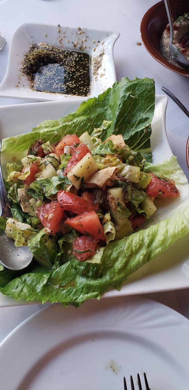 Bacchus of Lebanon | restaurant | 7945 Norfolk Ave, Bethesda, MD 20814, USA | 3016571722 OR +1 301-657-1722