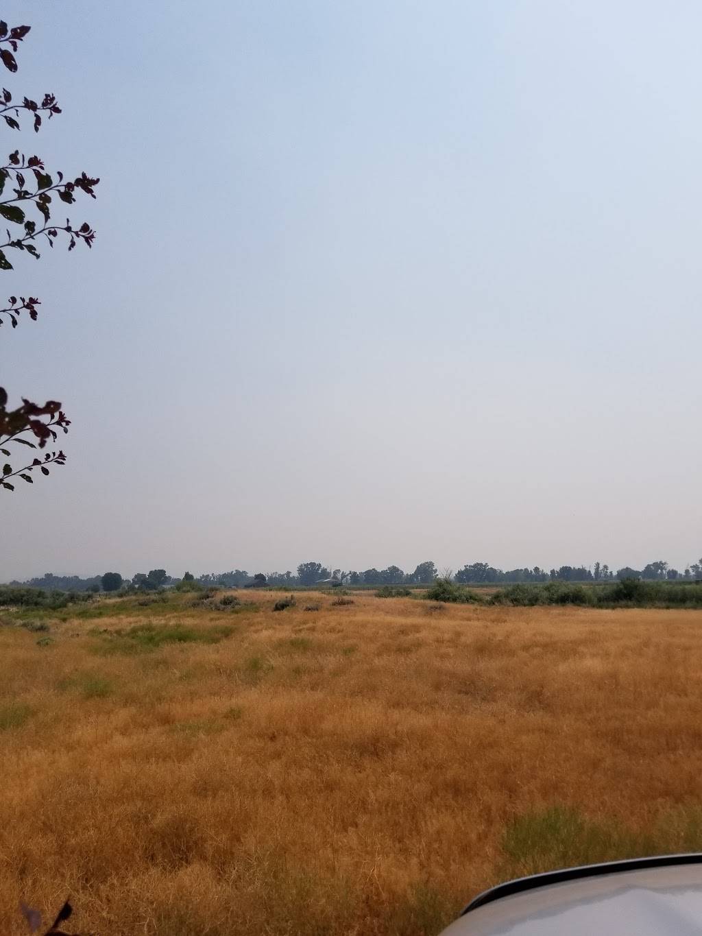 Subway | restaurant | 1328 U.S. Hwy 395 N, Gardnerville, NV 89410, USA | 7757837260 OR +1 775-783-7260