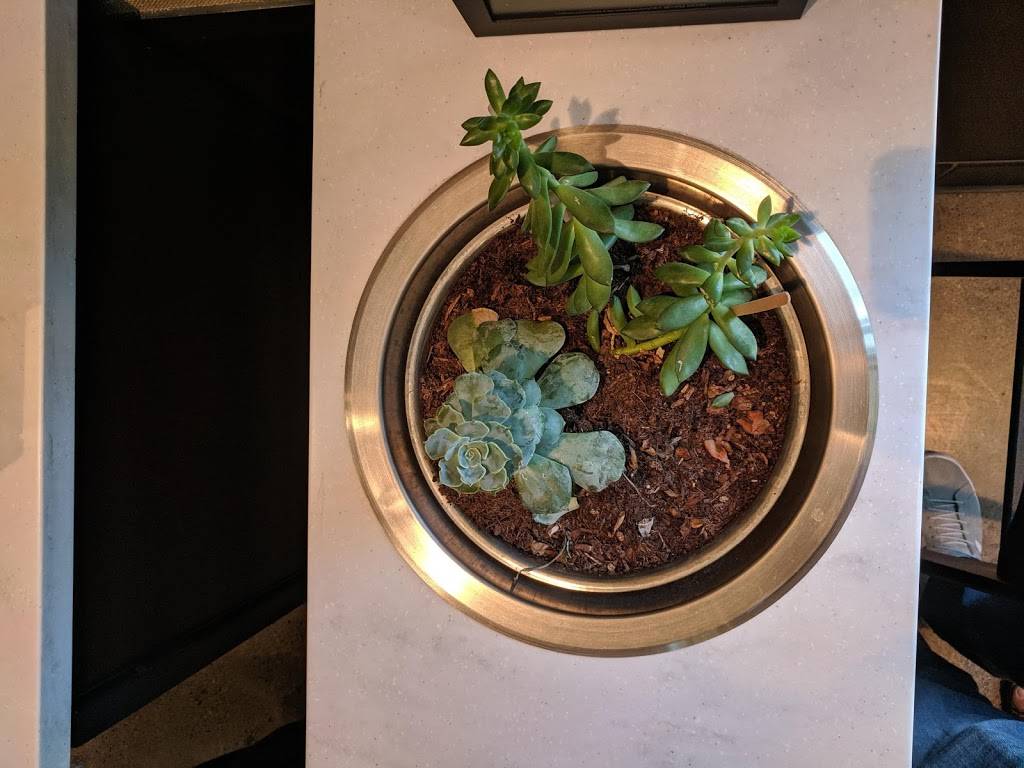 Starbucks | cafe | 1649 Research Blvd, Davis, CA 95618, USA | 5306016219 OR +1 530-601-6219