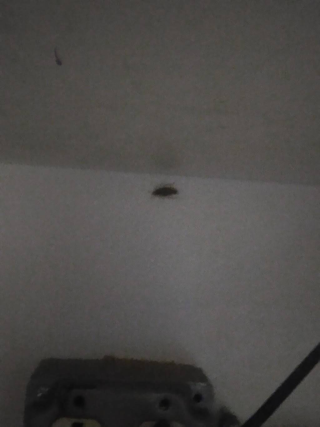 Circle K | meal takeaway | 3920 Tuscarawas St W, Canton, OH 44708, USA | 3304772814 OR +1 330-477-2814