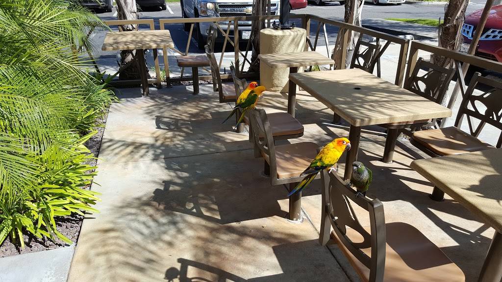 Taco Bell | meal takeaway | 22300 Old Canal Rd, Yorba Linda, CA 92887, USA | 7142833305 OR +1 714-283-3305