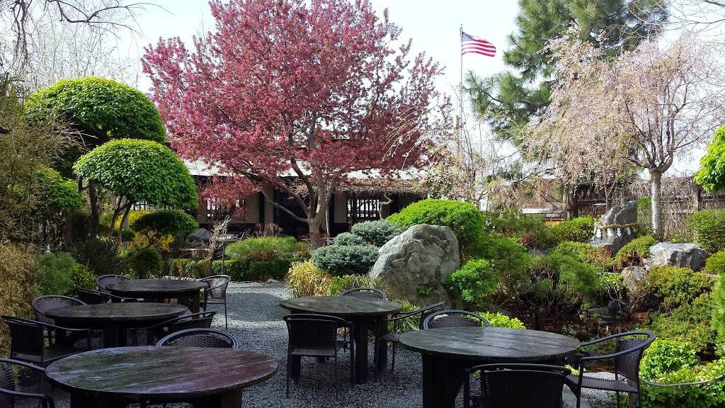 Domo Japanese Country Food Restaurant | restaurant | 1365 Osage St, Denver, CO 80204, USA | 3035953666 OR +1 303-595-3666