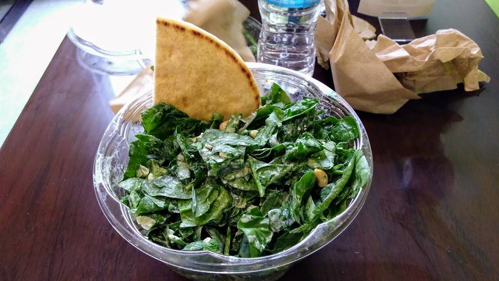 Red Leaf Salad Company | restaurant | 413 Arena Hub Plaza, Wilkes-Barre Township, PA 18702, USA | 5702356958 OR +1 570-235-6958