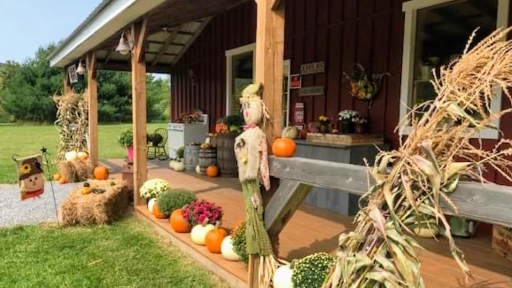 Old Orchard Place | restaurant | 3936 NY-22, Willsboro, NY 12996, USA | 5188372323 OR +1 518-837-2323