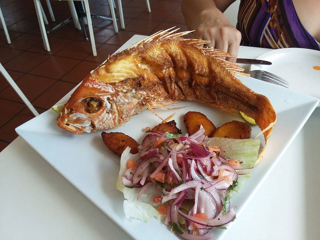 El Tayta On The Beach | restaurant | 600 N Surf Rd, Hollywood, FL 33019, USA | 9549231500 OR +1 954-923-1500