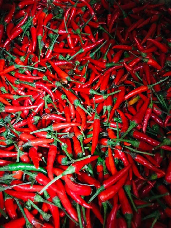 Westwood Asian Bazaar | restaurant | 2165 Noblestown Rd, Pittsburgh, PA 15205, USA | 4124581972 OR +1 412-458-1972