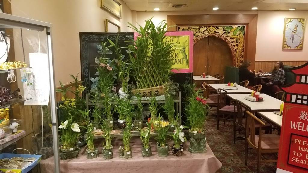 Hung Fong Chinese Restaurant | restaurant | 3624 Broadway St, San Antonio, TX 78209, USA | 2108229211 OR +1 210-822-9211