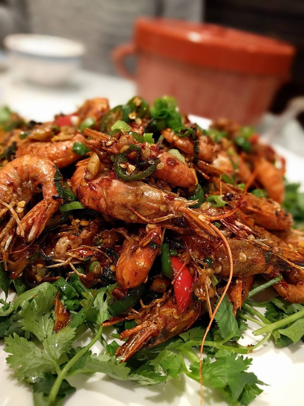 Hunan Chilli King | restaurant | 534 Valley Blvd #2, San Gabriel, CA 91776, USA | 6262887993 OR +1 626-288-7993