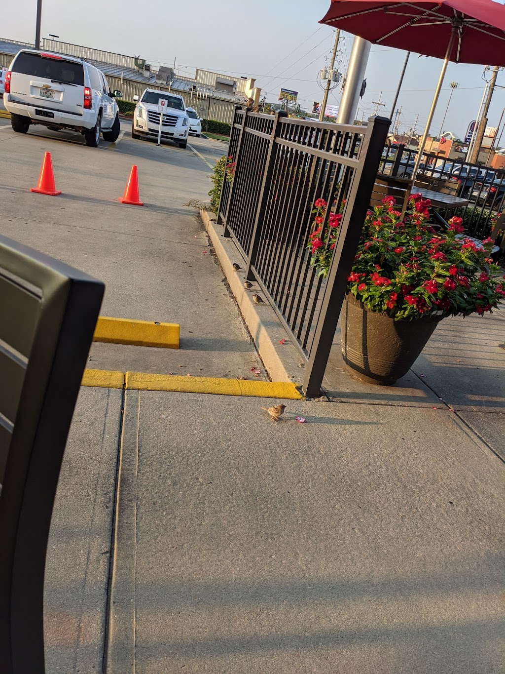 Chick-fil-A | restaurant | 203 Thomas Rd, West Monroe, LA 71291, USA | 3186514448 OR +1 318-651-4448