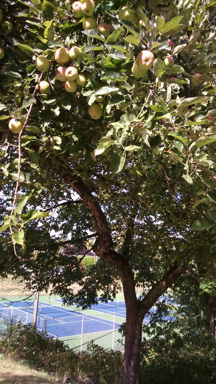 Ezells Famous Chicken | restaurant | 4436 Rainier Ave S, Seattle, WA 98118, USA | 2066863772 OR +1 206-686-3772