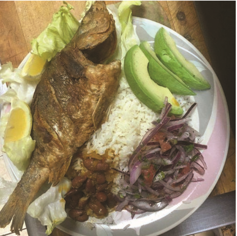 Cindys Luncheonette | restaurant | 1806 McDonald Ave, Brooklyn, NY 11223, USA | 7186456192 OR +1 718-645-6192