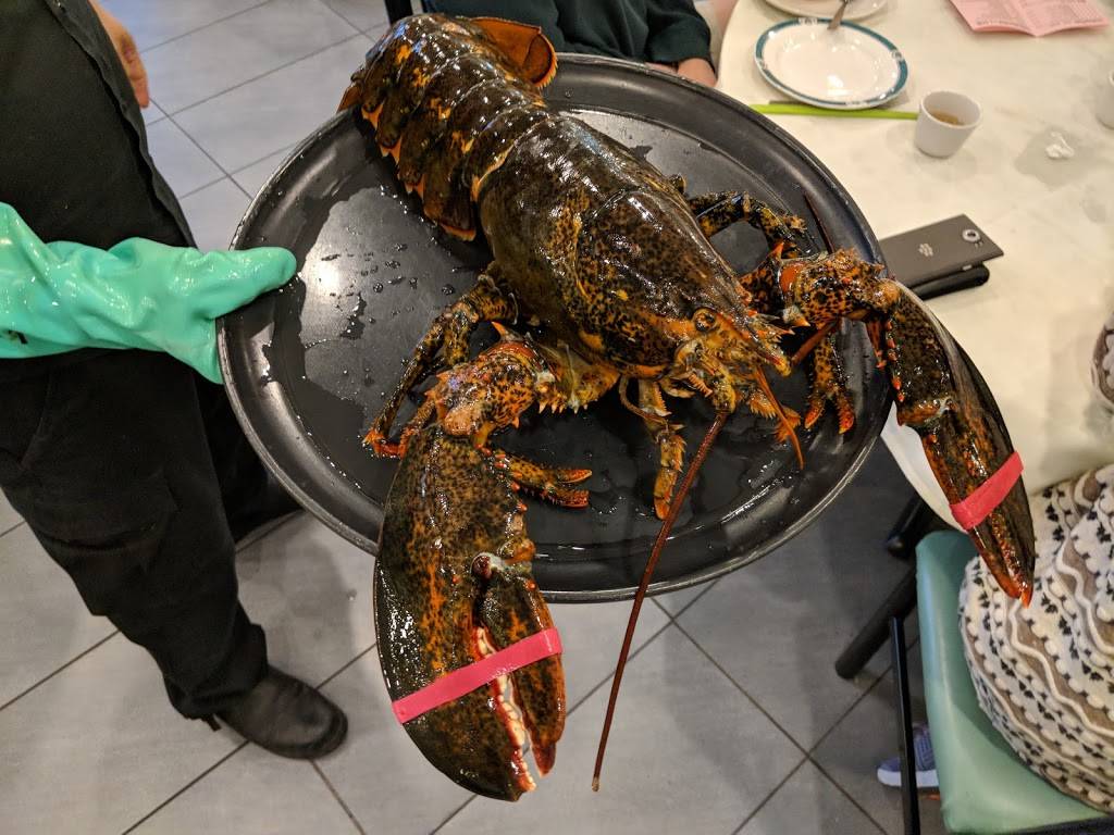 626 Lobster (龍蝦店) | restaurant | Ste E & F, 8632 Valley Blvd, Rosemead, CA 91770, USA | 6266176667 OR +1 626-617-6667
