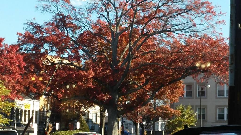 Haven Diner | restaurant | 6 Haven Ave, Port Washington, NY 11050, USA | 5168835252 OR +1 516-883-5252