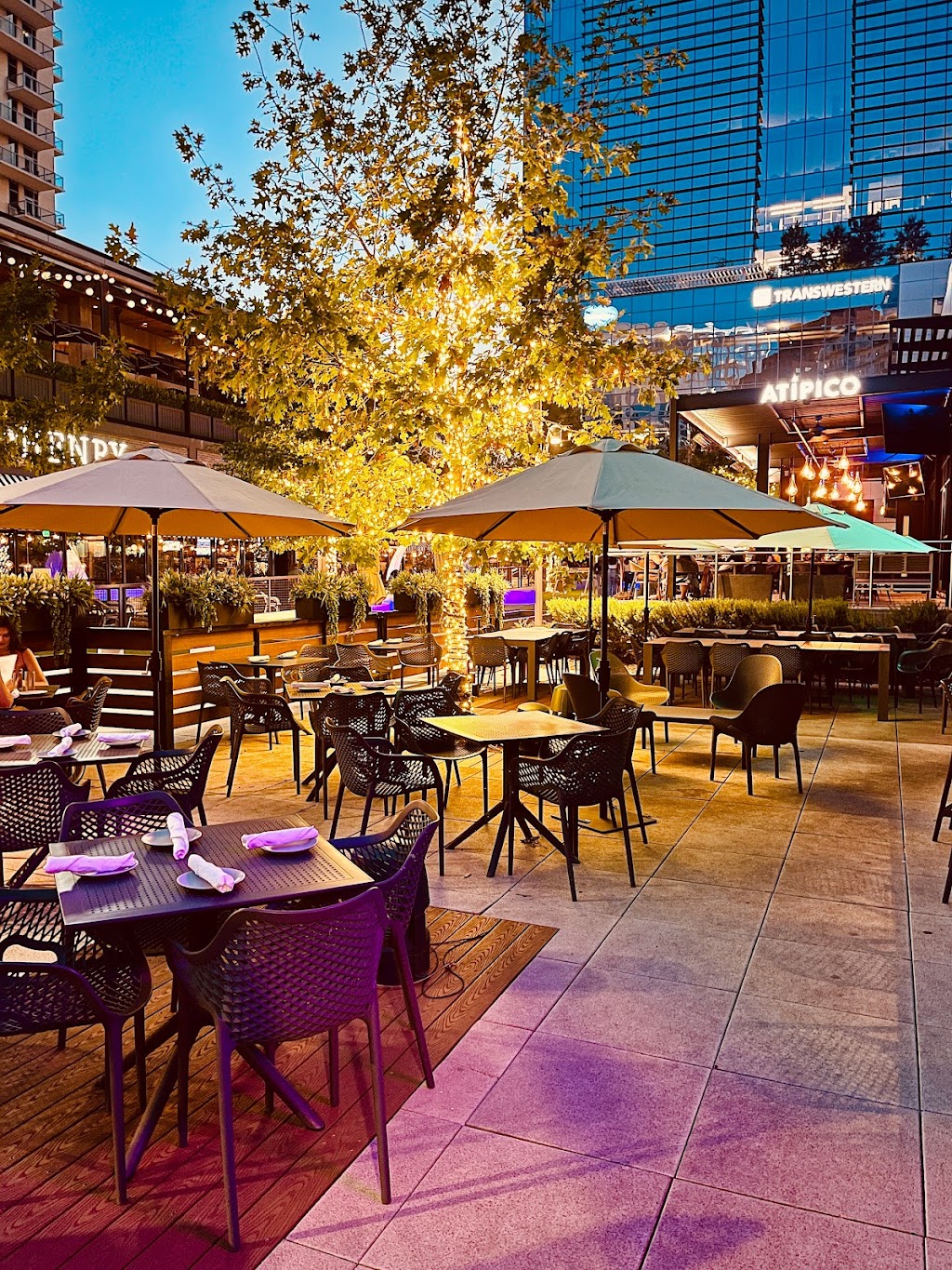 Royal 38 | restaurant | 2301 N Akard St Suite 210, Dallas, TX 75201, USA | 2147369010 OR +1 214-736-9010