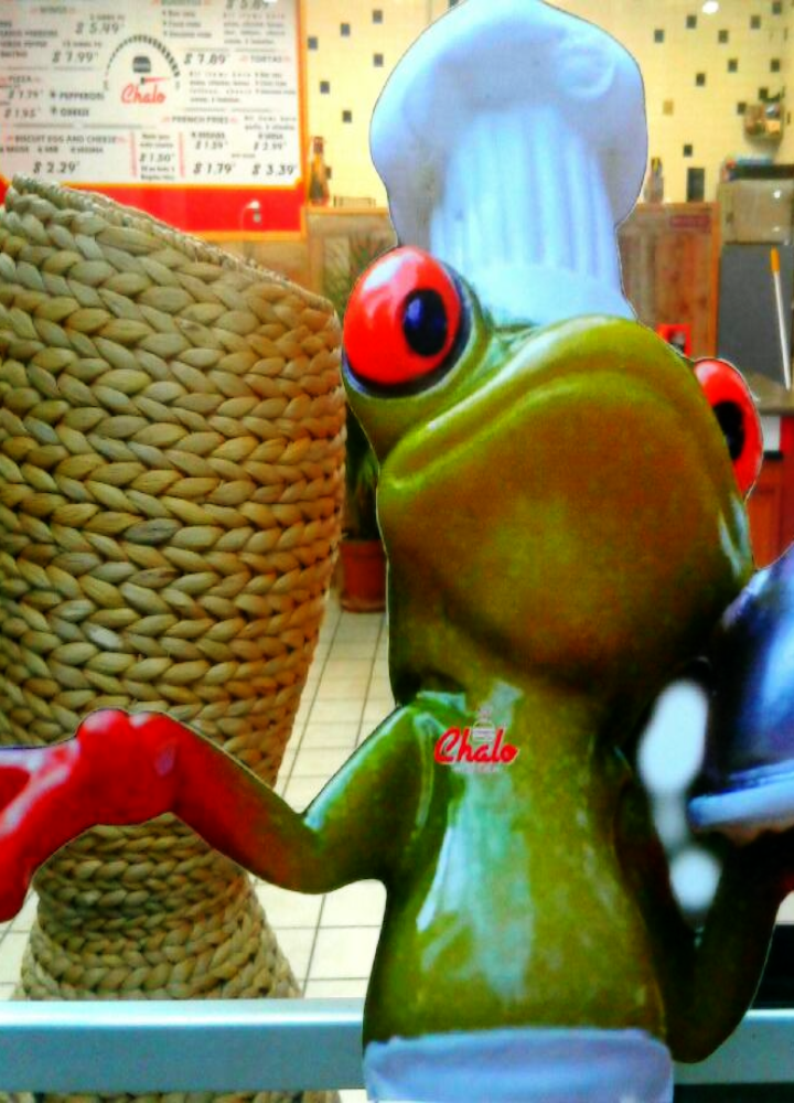 Chalo Fast Food | restaurant | 620 GA-155 S, McDonough, GA 30253, USA | 6786649195 OR +1 678-664-9195