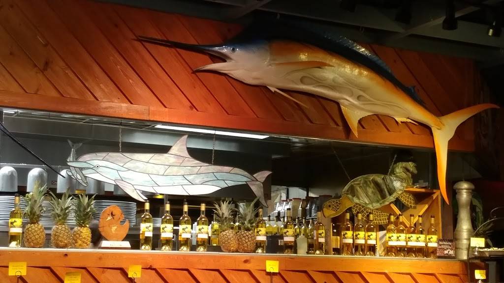 Blue Water Bay | restaurant | 319 FL-26, Melrose, FL 32666, USA | 3524751928 OR +1 352-475-1928